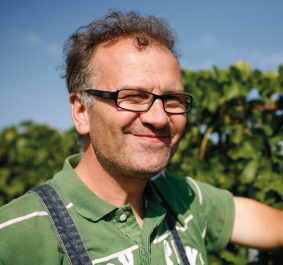 Lächelnder Mann mit Brille vor grünem Weinberg an einem sonnigen Tag.