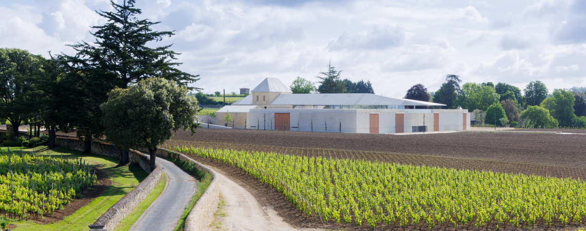 Weinberg mit modernen Gebäuden und einer kurvigen Straße unter bewölktem Himmel.