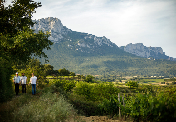 Bideona Landschaft Weingaerten Menschen