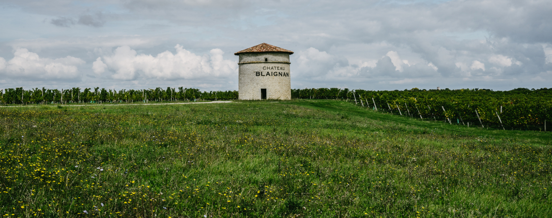 Steinbau mit rotem Dach auf blühender Wiese vor bewölktem Himmel.