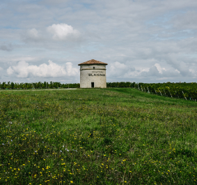 Steinbau mit rotem Dach auf blühender Wiese vor bewölktem Himmel.