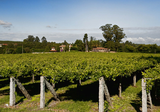 Bodegas Castro Martin Pazo Summer