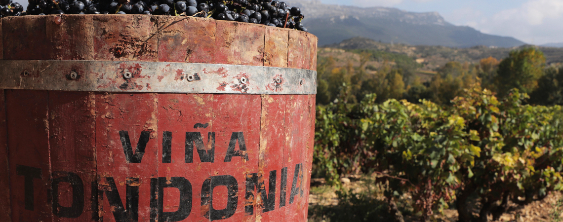Rote Holzkiste mit Trauben im Weinberg vor Bergkulisse.