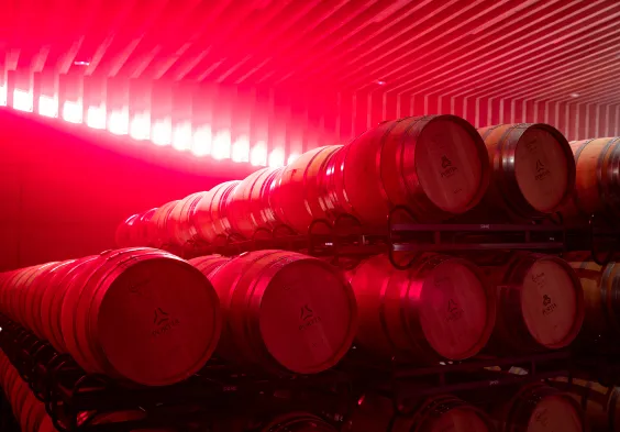 Bodegas Portia (10)