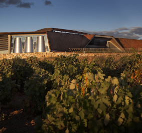Moderne Weinerei mit rustikalem Design, umgeben von üppigen Weinreben bei Sonnenuntergang.