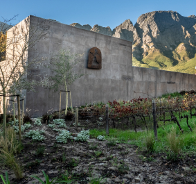 Moderne Betonmauer, Weingarten im Vordergrund, bewaldete Berge im Hintergrund.