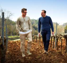 Zwei Männer gehen durch einen gepflegten Weinberg bei klarem Himmel.