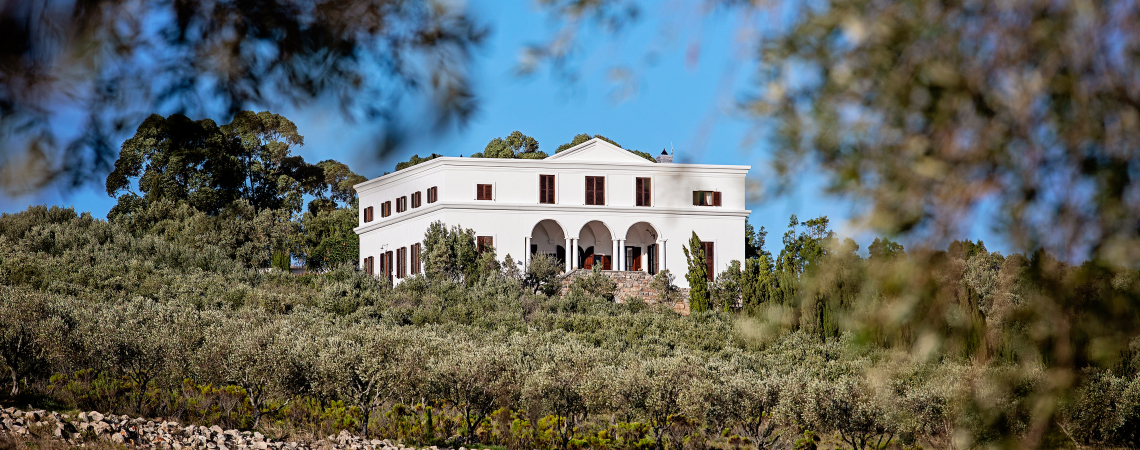Weiße Villa auf Hügel, umgeben von Olivenbäumen und blauem Himmel.