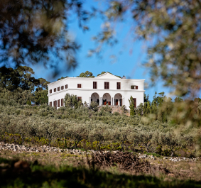 Weiße Villa auf Hügel, umgeben von Olivenbäumen und blauem Himmel.