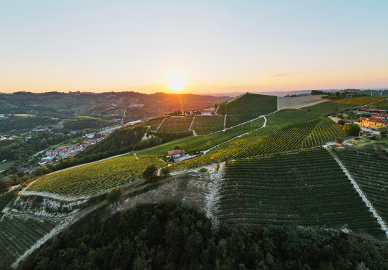 Bricco Maiolica 2022 Ausblick