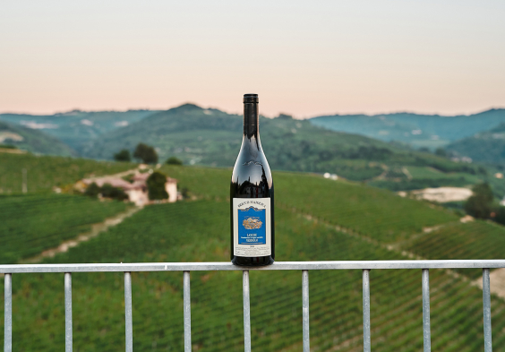 Bricco Maiolica 2022 Flasche