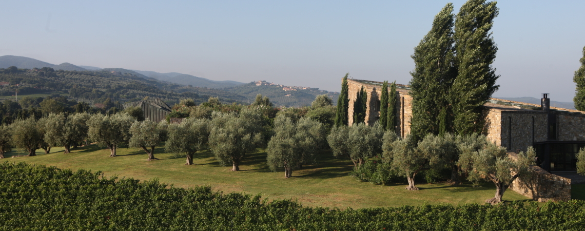 Weingutlandschaft mit Olivenbäumen, Zypressen und steinernem Gebäude im Hintergrund.