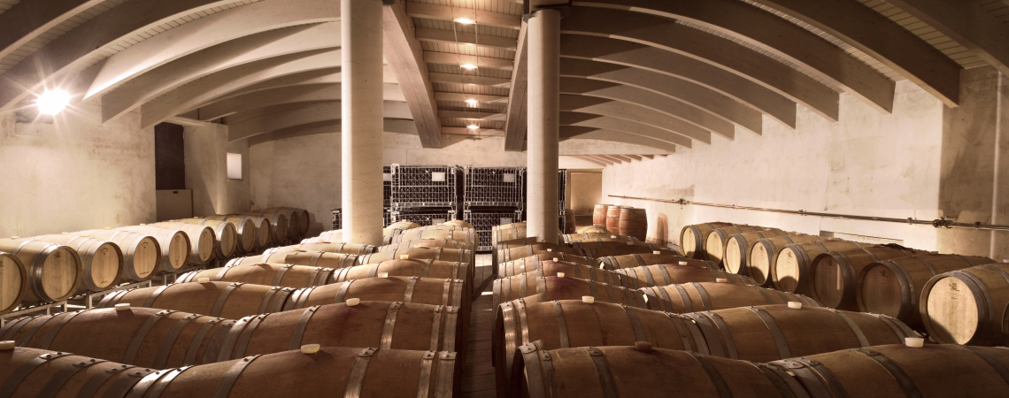 Holzfasskeller mit vielen Reihen von glänzenden Weinfässern.