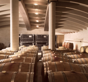 Holzfasskeller mit vielen Reihen von glänzenden Weinfässern.