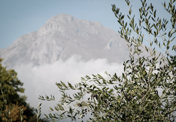 Cassini Panorama Monte Toraggio
