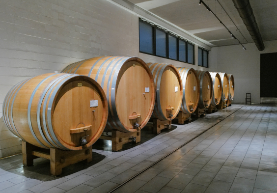 Castello di Perno BOTTI CANTINA