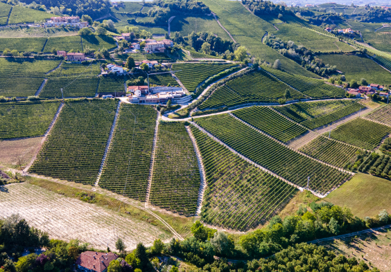 Castello di Perno Castelletto's CRU