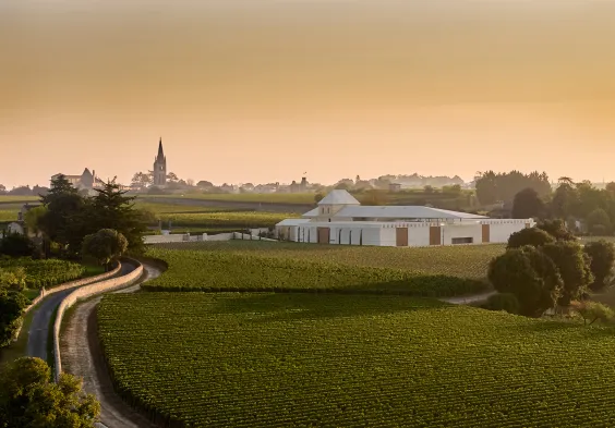 Chateau Belair Monange Winery Credit photo Florent Larronde