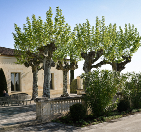 Historisches Gebäude mit hellem Stein, Bäumen entlang der Fassade, sonniger Tag.