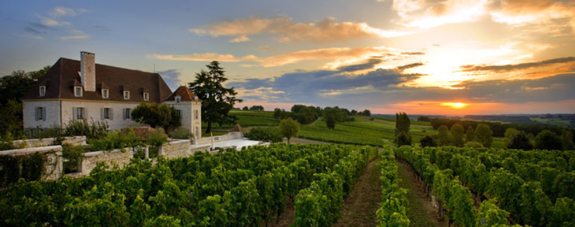 Historisches Weingut bei Sonnenuntergang, umgeben von grünen Weinreben und sanften Hügeln.