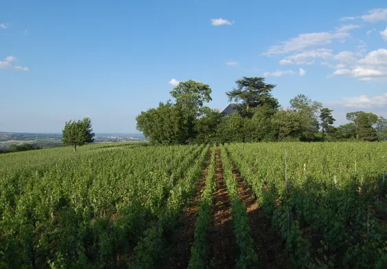 Chateau des Rontets 2 1