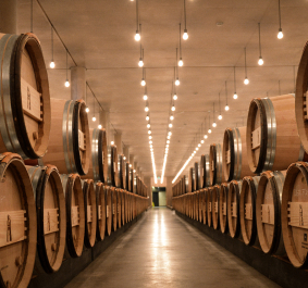 Weinkeller mit Holzfässern in langen Reihen, gedämpftes Licht.