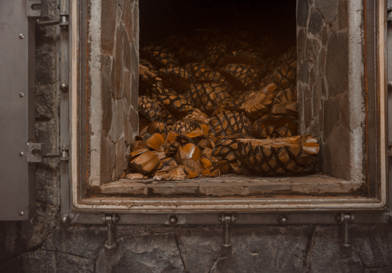 Clase Azul T&C TP 2023 Coccion 4