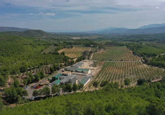 Clos de Lom Weingut Weingarten