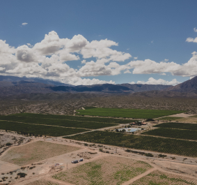 Weitläufige Landschaft mit grünen Feldern und Bergen unter blauem Himmel.