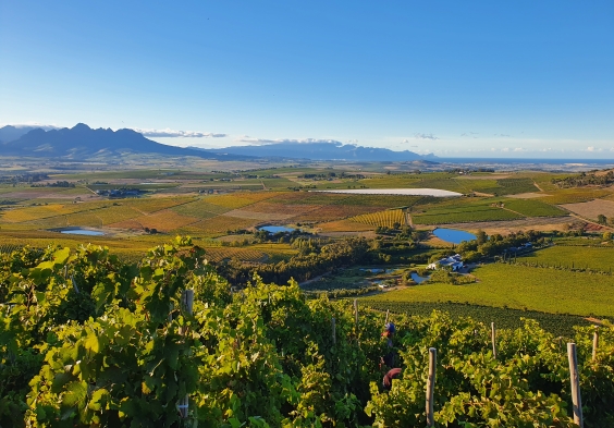 DeMorgenzon from the top