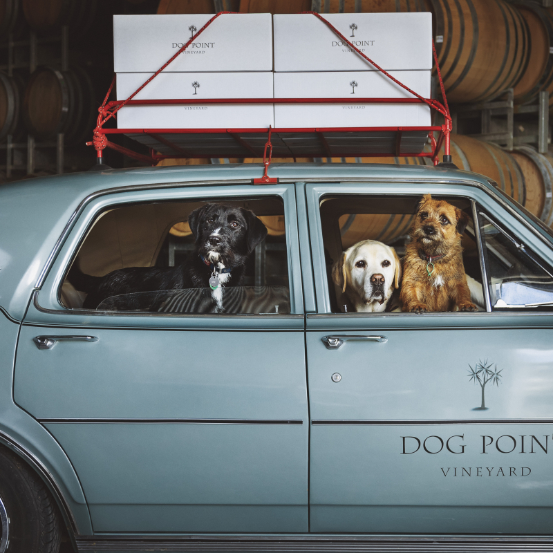 Dog Point Dogs in Holden