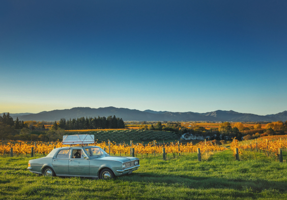 Dog Point Holden Autumn