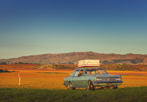 Dog Point Holden Brancott