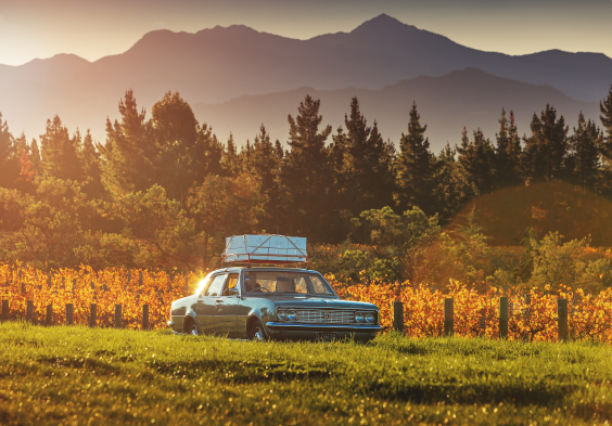 Dog Point Holden richmond ranges