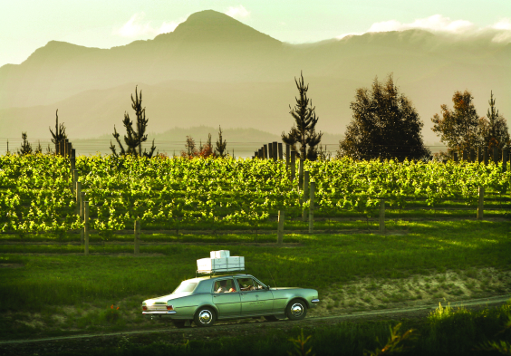 Dog Point The Dog Point Mobile