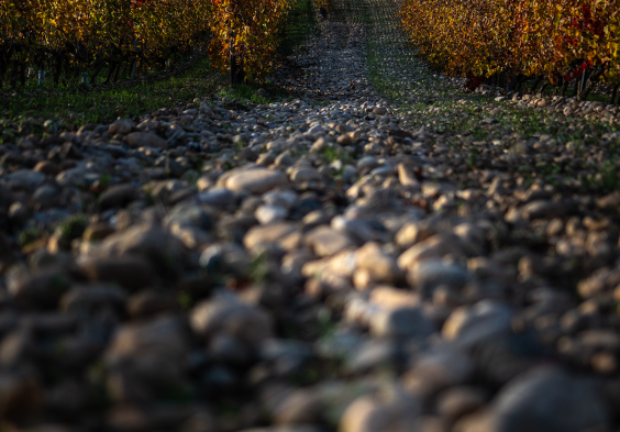 Domaine de Chene Vert 4