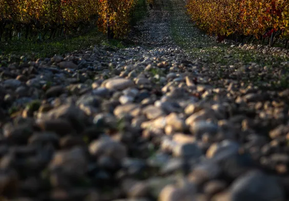 Domaine de Chene Vert 4