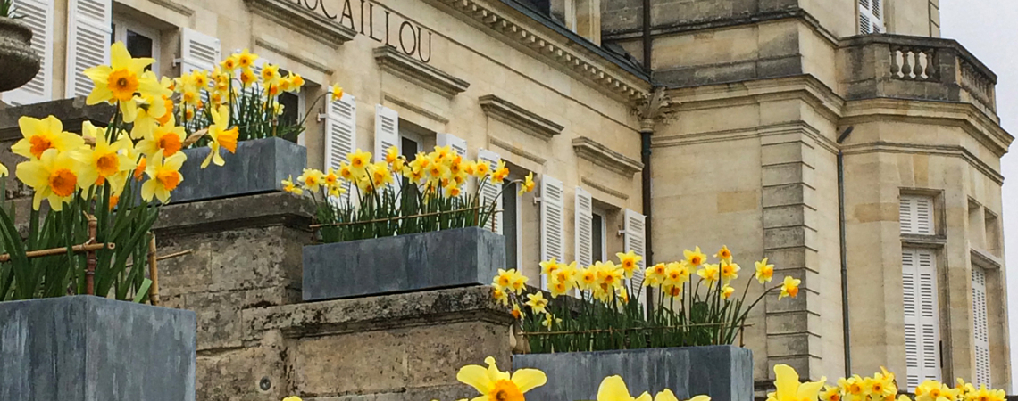 Steinernes Gebäude mit gelben Narzissen vor grauem Himmel.
