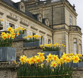 Steinernes Gebäude mit gelben Narzissen vor grauem Himmel.