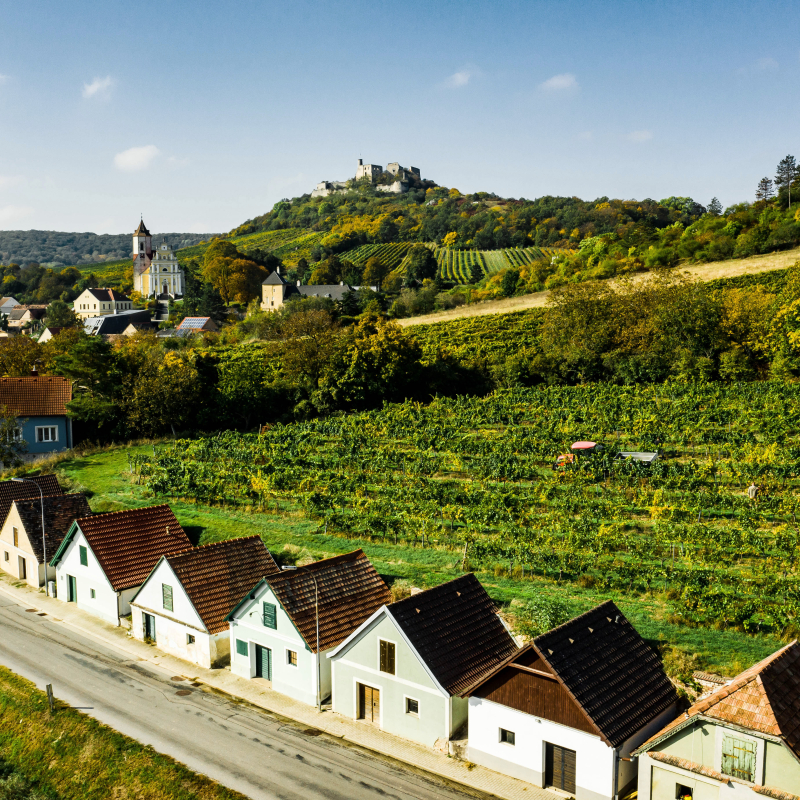 Duernberg Der Weinort Falkenstein V