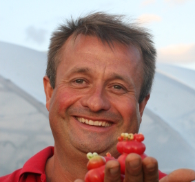 Mann in rotem Hemd hält kleine, unförmige Tomaten in der Hand und lächelt.