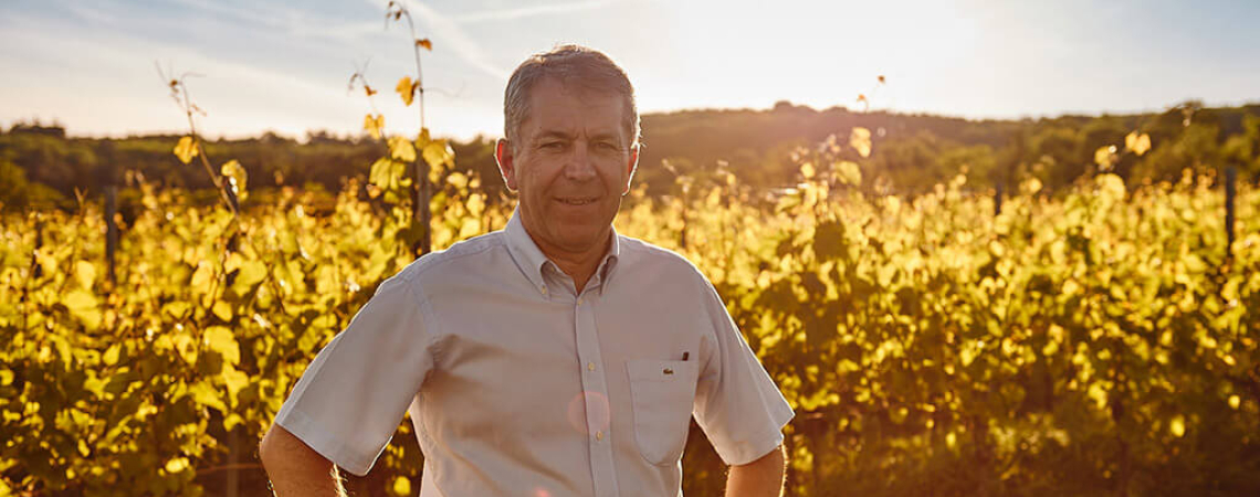 Mann im Hemd steht bei Sonnenuntergang in einem grünen Weinberg.