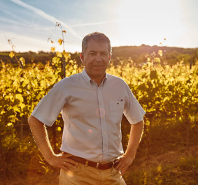 Mann im Hemd steht bei Sonnenuntergang in einem grünen Weinberg.