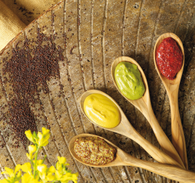 Vier Holzlöffel mit verschiedenen Senfsorten auf rustikalem Untergrund.