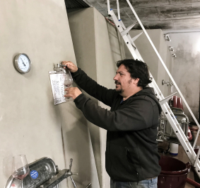 Mann zapft Weinprobe aus großem, rechteckigem Weintank in Keller.