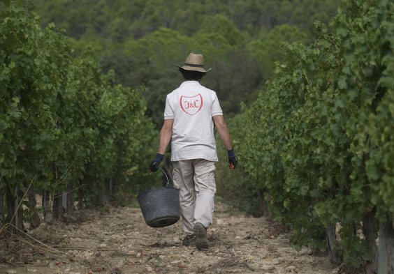 Finca Espiells Handlese