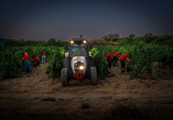 Finca Espiells Nachtlese Traktor