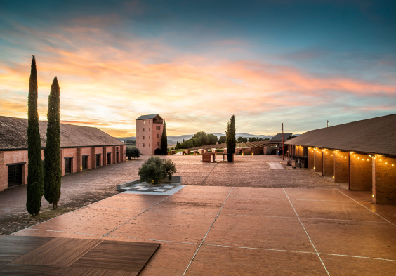 Finca Espiells Weingut