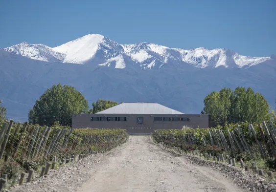 Finca Sophenia (8)