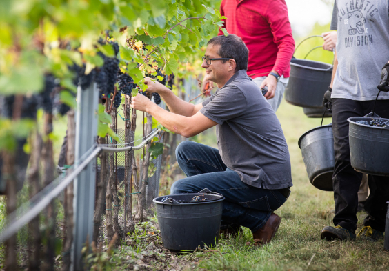 Georg Schneider (10)